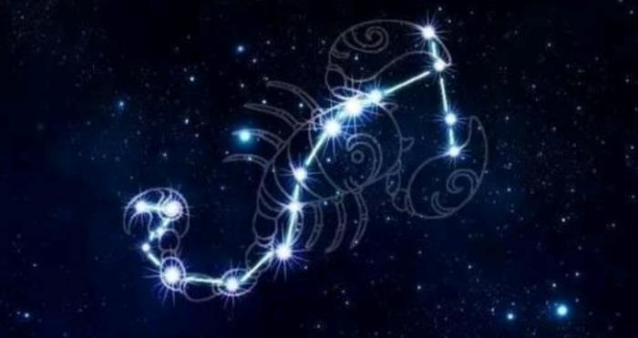 天蠍男回訊息速度