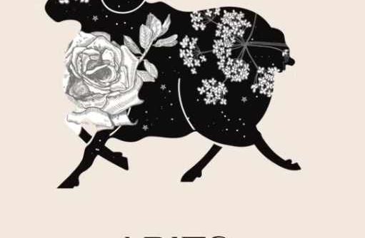 牡羊座男喜歡的類型