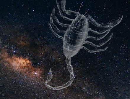 天蠍男愛一個人的表現