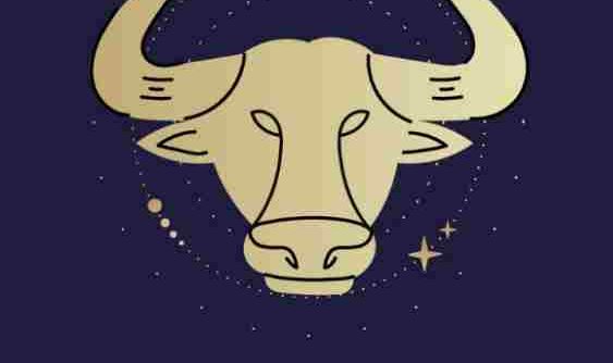 上升星座金牛
