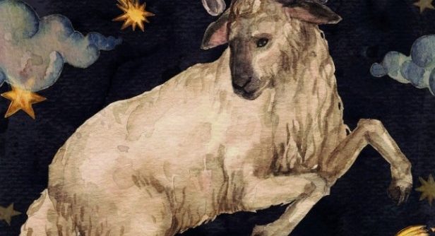 牡羊女喜歡的類型