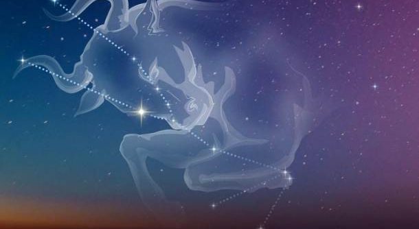 如何知道金牛男喜歡你