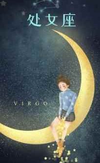 處女女魔羯男