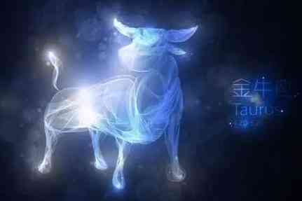 金牛座喜歡一個人