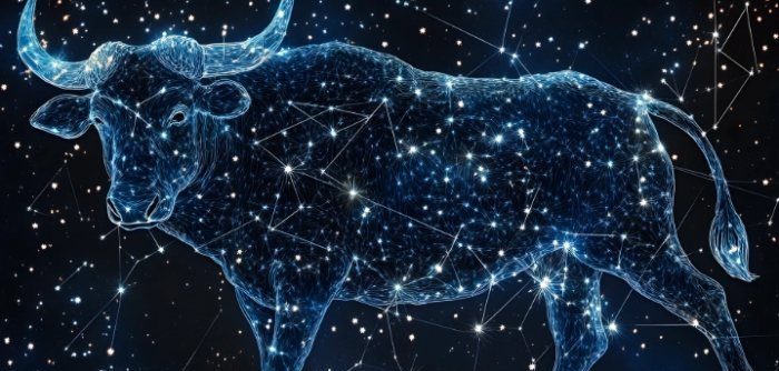 水瓶男金牛女交往