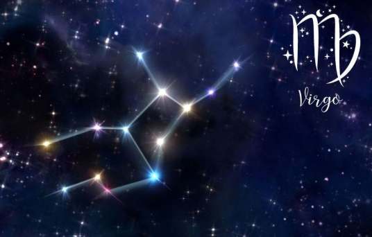 處女女喜歡的類型