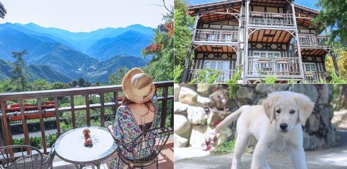 清境寵物友善住宿