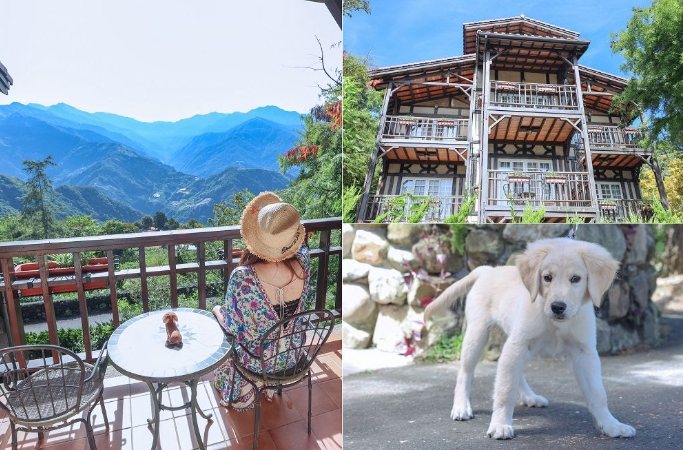 清境寵物友善住宿