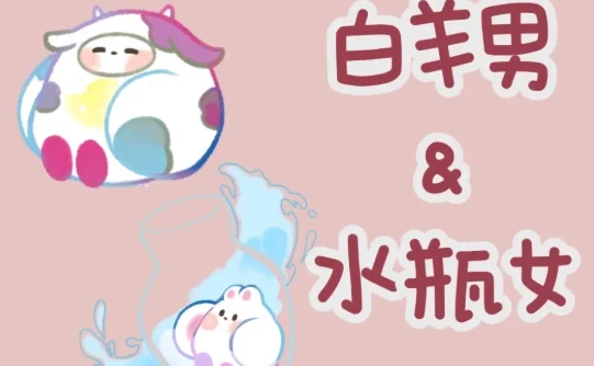 牡羊男水瓶女