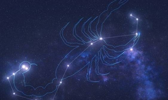 天蠍女喜歡一個人的表現