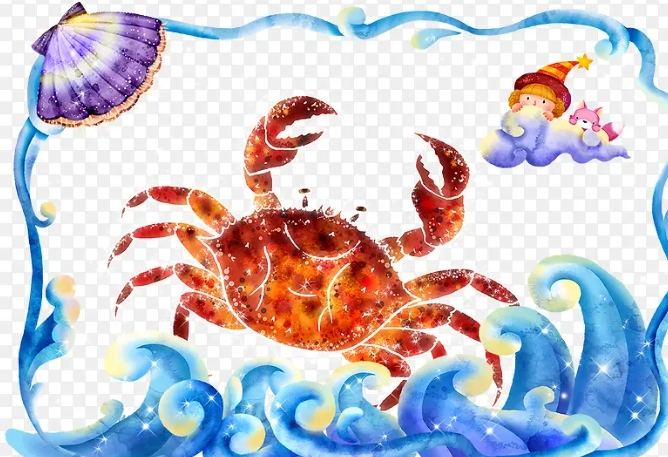 巨蟹男曖昧期多久