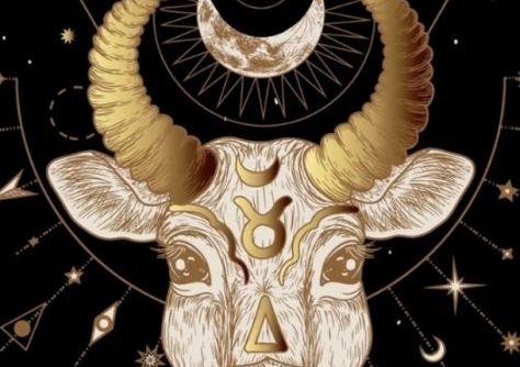 上升金牛下降天蠍