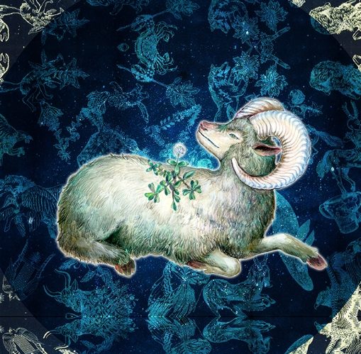 牡羊女金牛男配對全攻略：性格解析與相處秘訣