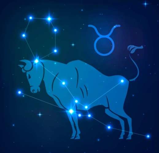 處女女金牛男