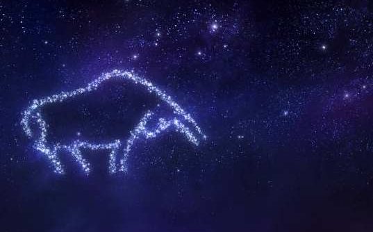 金牛星座