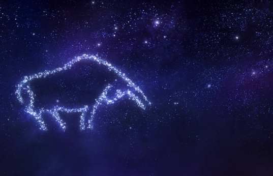 金牛星座