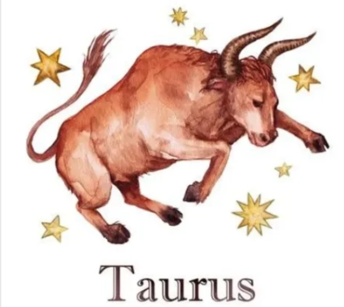 金牛男喜歡一個人