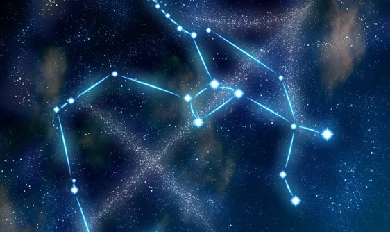 射手女喜歡類型