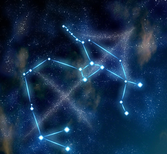 射手女喜歡類型