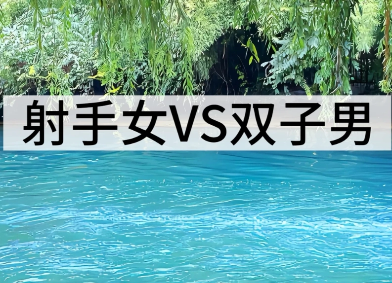 雙子男射手女吵架