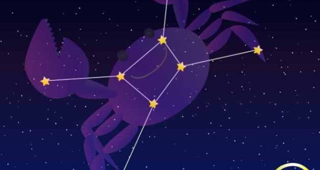 巨蟹女喜歡的類型