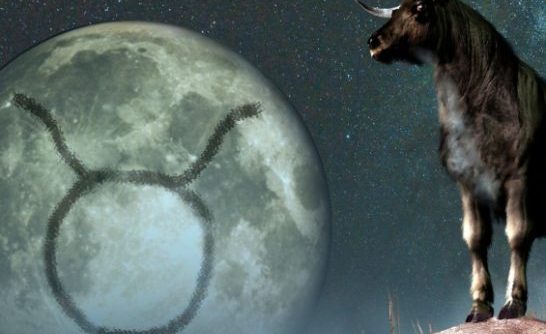 金牛女想復合的表現