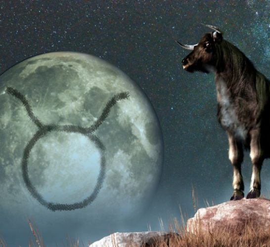 金牛女想復合的表現