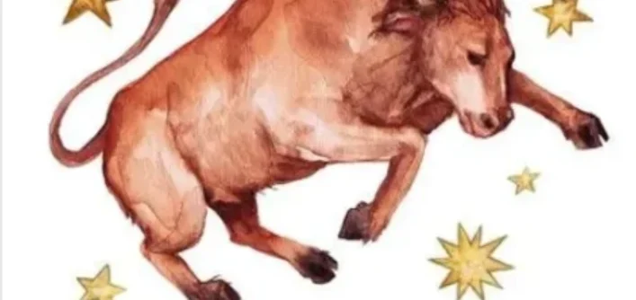 金牛男喜歡一個人的小動作