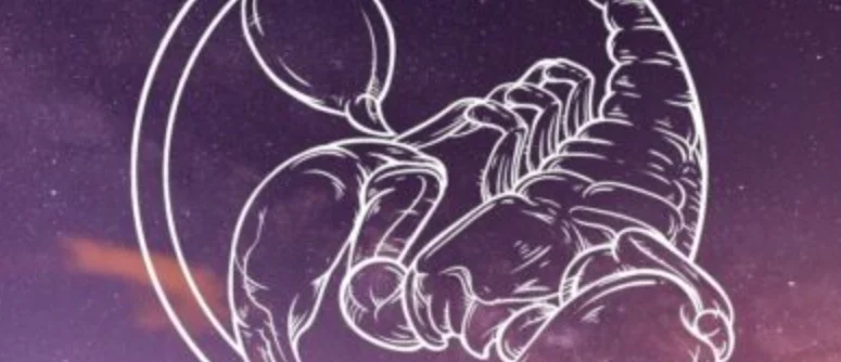 天蠍女把你當朋友