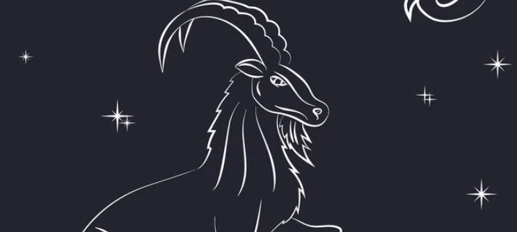 上升星座 摩羯座 性格