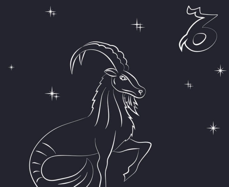 上升星座 摩羯座 性格