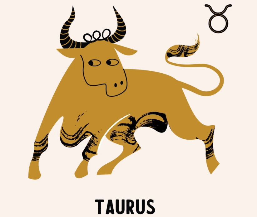 月亮金牛男攻略