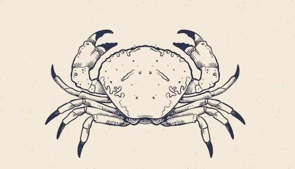 巨蟹男喜歡類型